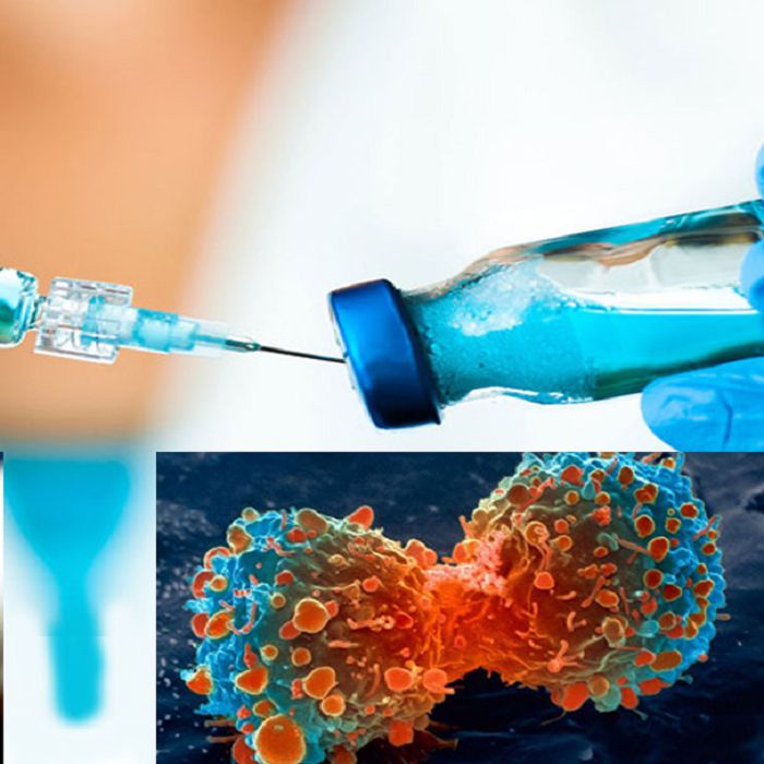 ¿Crean nueva vacuna contra el cáncer que demostró ser 100 por ciento efectiva?