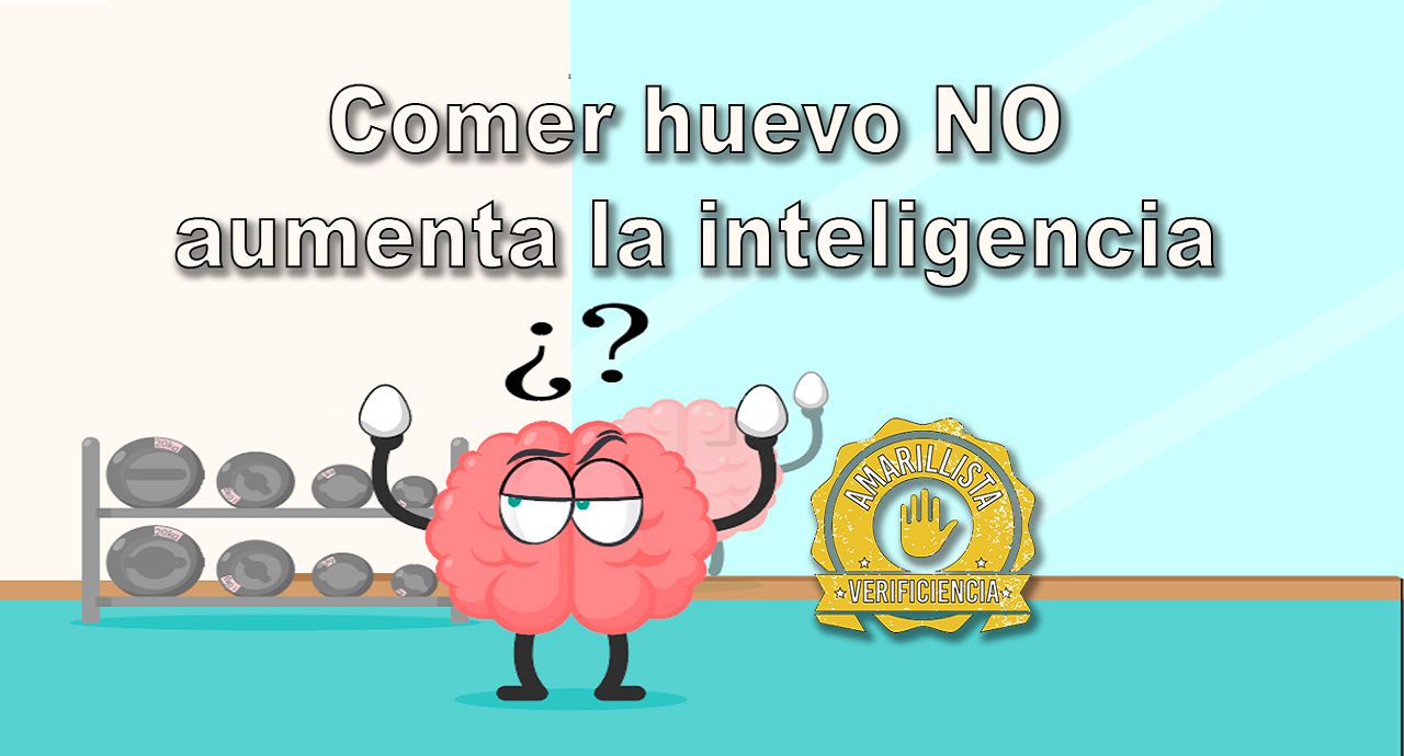 ¿Comer huevo aumenta la inteligencia? Revisión crítica de una afirmación viral atribuida a la UNAM