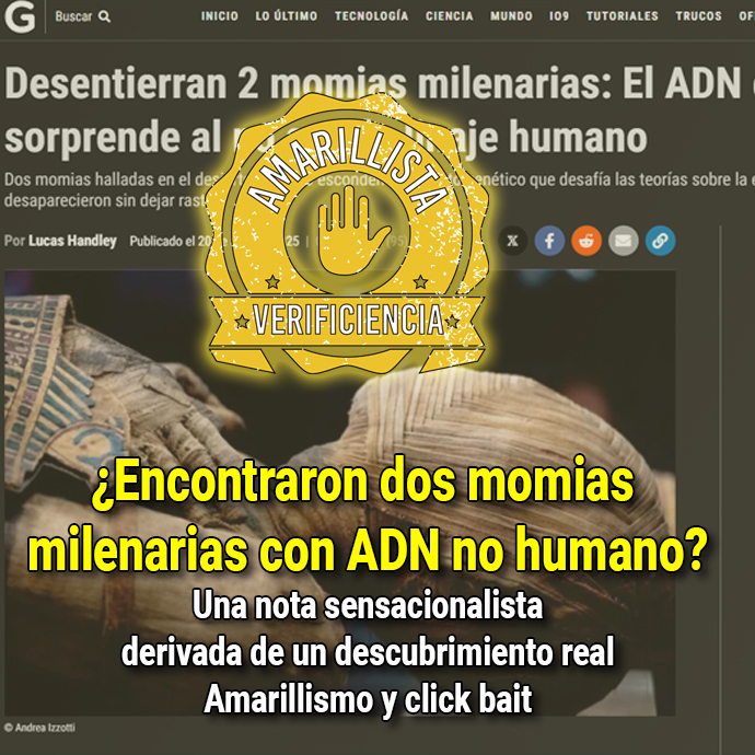¿Encontraron dos momias milenarias con ADN no humano?